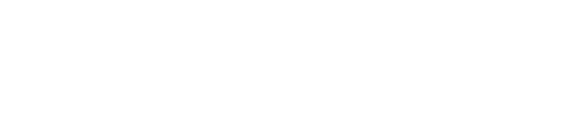 Heinrich Böll Stiftung Київ